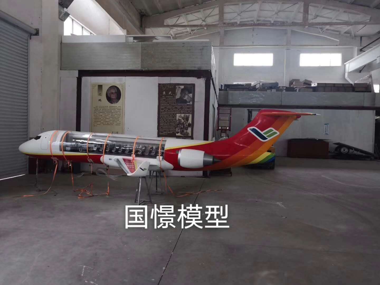 阳西县飞机模型